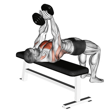 chest workouts