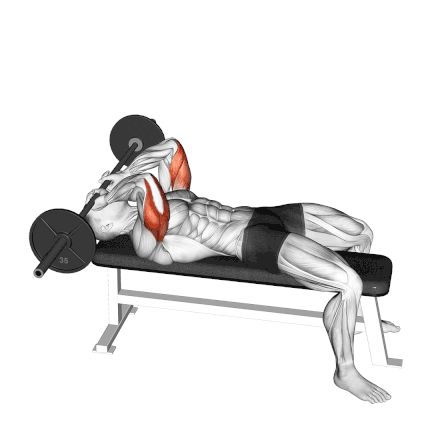 Triceps workouts