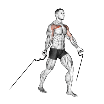 Standing low to high cable fly