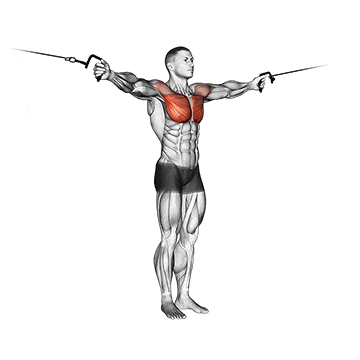 Standing high to low cable fly