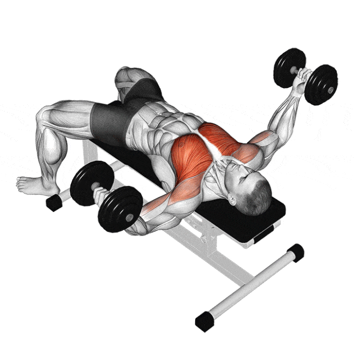 chest workouts