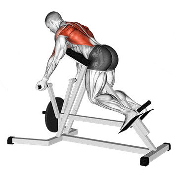 Back Workouts