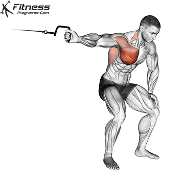 chest workouts