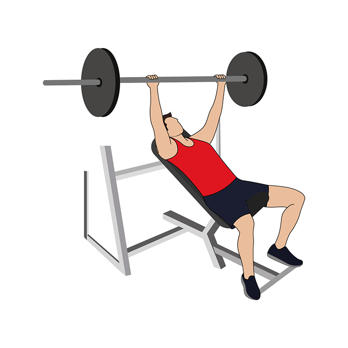 chest workouts