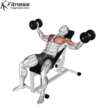 chest workouts