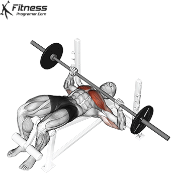 chest workouts