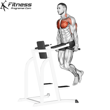 chest workouts