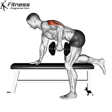 Triceps workouts