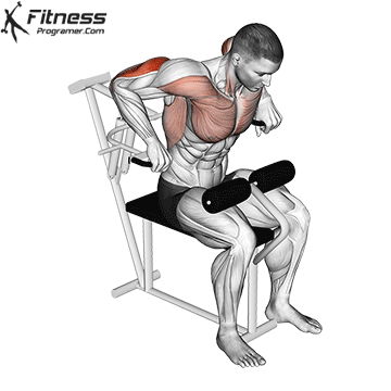 Triceps workouts