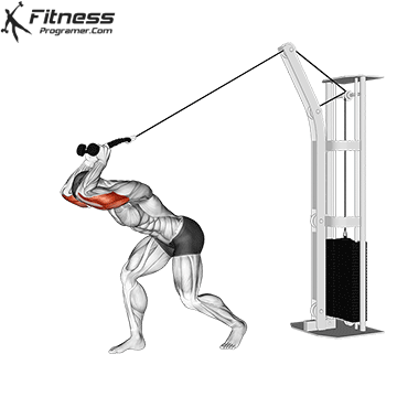 Triceps workouts