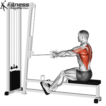 Back Workouts