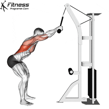 Back Workouts