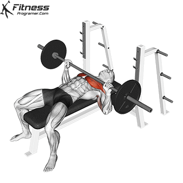 chest workouts