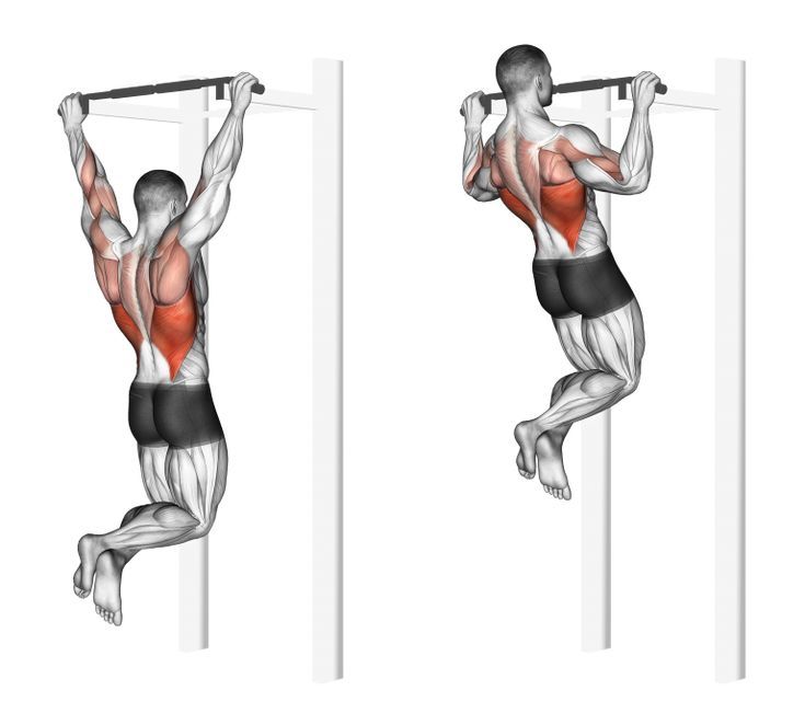 Back Workouts